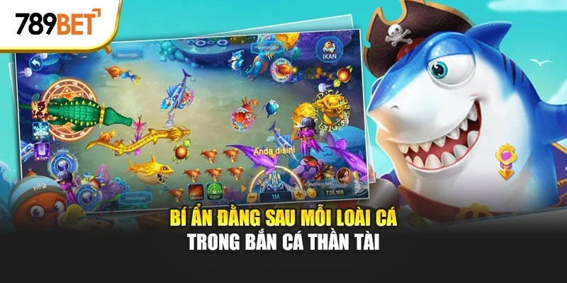 Bí ẩn đằng sau mỗi loài cá trong bắn cá Thần Tài