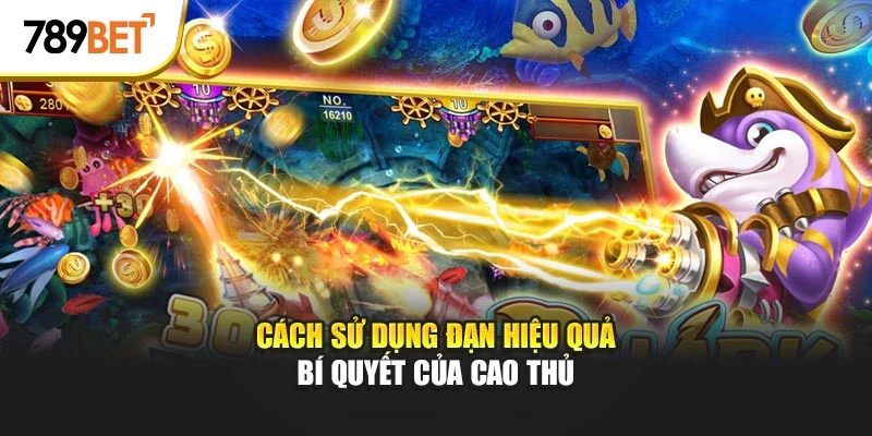 Cách sử dụng đạn hiệu quả – bí quyết của cao thủ