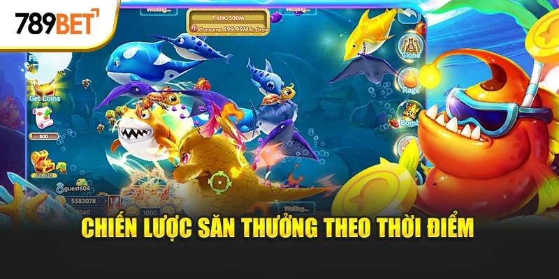 Chiến lược săn thưởng theo thời điểm