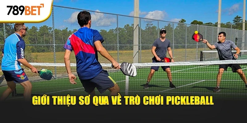 Giới thiệu sơ qua về trò chơi pickleball
