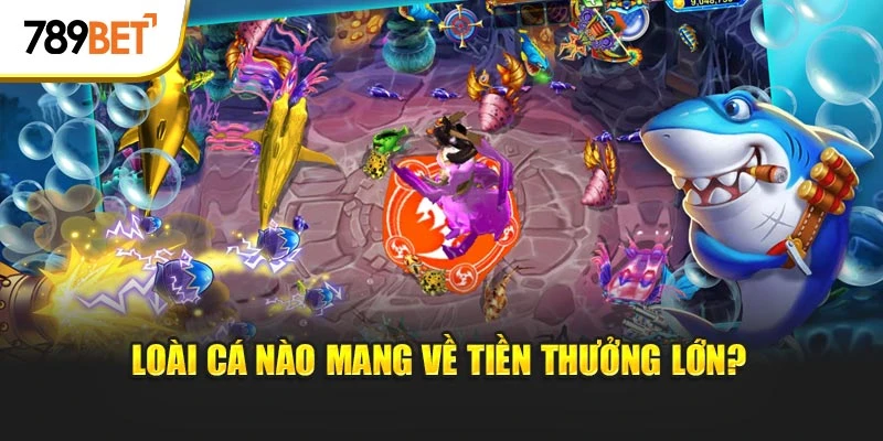 Loài cá nào mang về tiền thưởng lớn