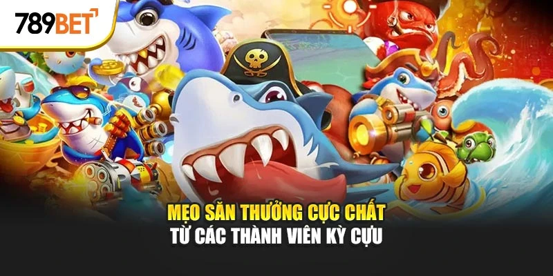 Mẹo săn thưởng cực chất từ các thành viên kỳ cựu