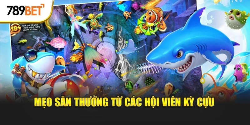 Mẹo săn thưởng từ các hội viên kỳ cựu