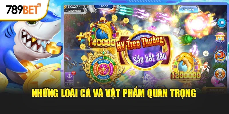 Những loài cá và vật phẩm quan trọng