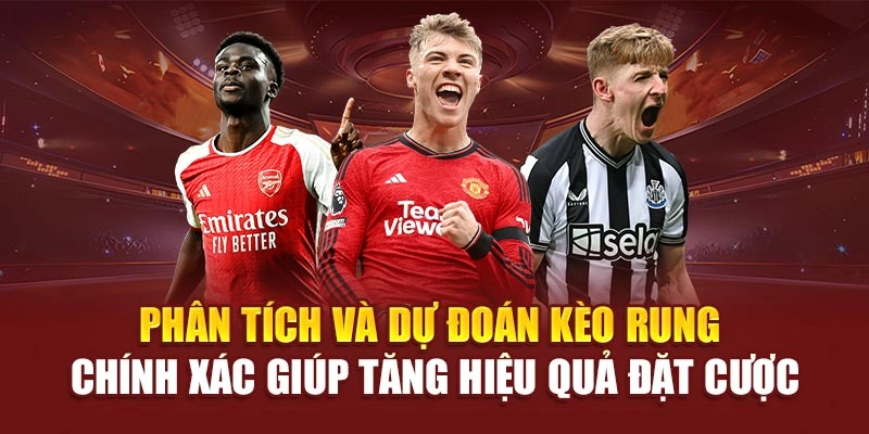 Phân tích và dự đoán kèo rung là gì