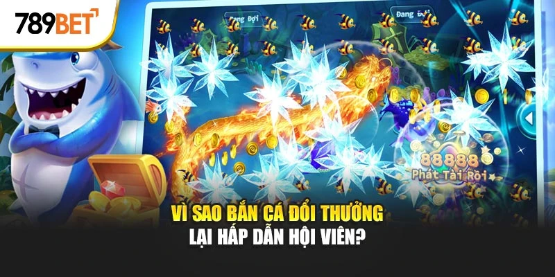 Vì sao bắn cá đổi thưởng lại hấp dẫn hội viên